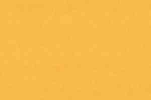 Линолеум Taralay Premium Compact 8255 GOLDEN SUNSET фото  | FLOORDEALER